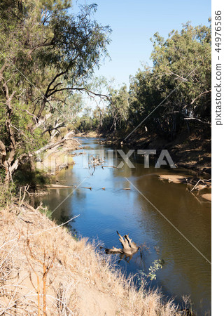 Macquarie River Macquarie River 44976586