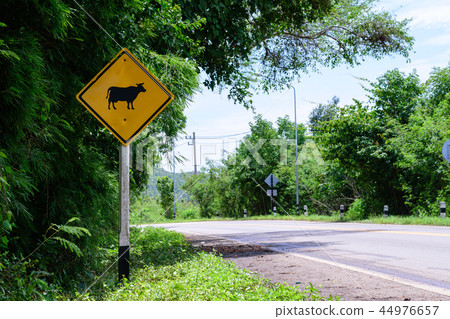 Warning signs of animals (cow) in the countryside 44976657