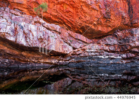 Ormiston Gorge 44976945