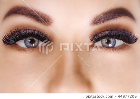 Eyelash Extension Procedure. Woman Eye with Long Eyelashes. Close up, selective focus. Hollywood Eyelash Extension Procedure. Woman Eye with Long Eyelashes. Close up, selective focus. Hollywood 44977209