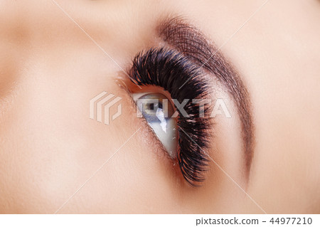 Eyelash Extension Procedure. Woman Eye with Long Eyelashes. Close up, selective focus. Hollywood Eyelash Extension Procedure. Woman Eye with Long Eyelashes. Close up, selective focus. Hollywood 44977210
