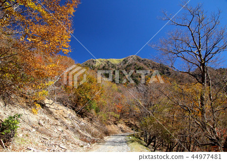 肯贊超市路 44977481