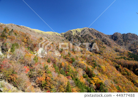 Kenzan supermarket road Kenzan supermarket road 44977488