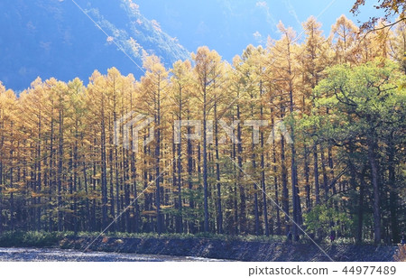 Kamikocho of autumnal leaves Kamikocho of autumnal leaves 44977489