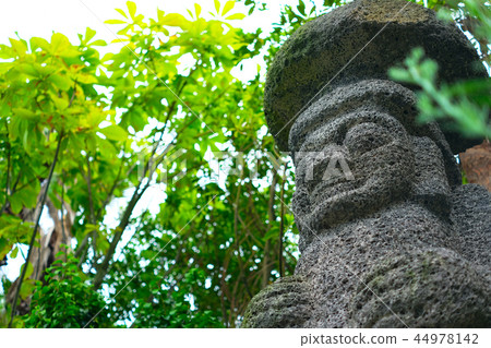 Harbin, Jeju Island Harbin, Jeju Island 44978142