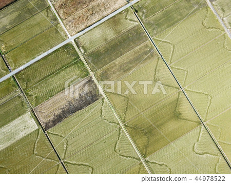 收穫後的農村景觀 44978522