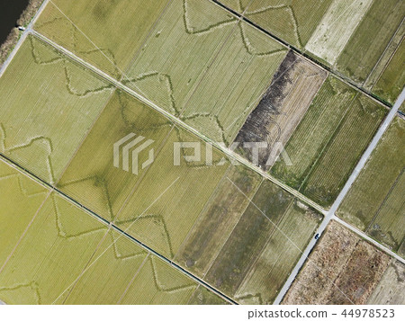 收穫後的農村景觀 44978523