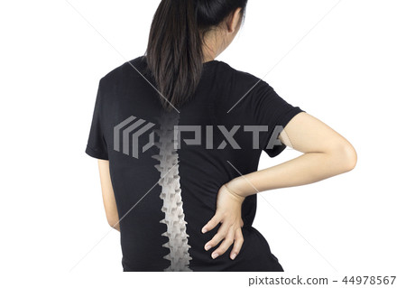 spine bones injury 44978567