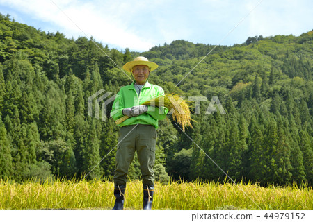 微笑的資深收穫米 44979152