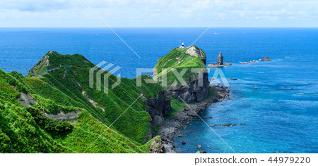夏天的夏天/北海道積丹鎮的積丹藍色海角 夏天的夏天/北海道積丹鎮的積丹藍色海角 44979220