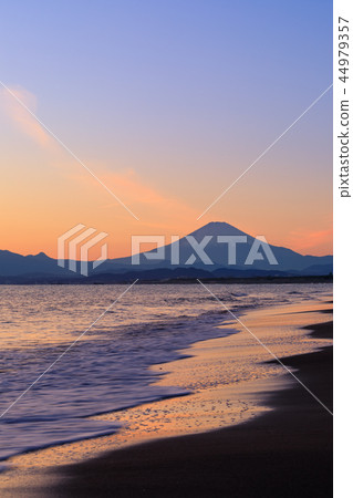 Evening view Fuji of Kanagawa _ Shonan 44979357