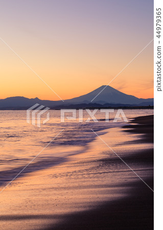 Evening view Fuji of Kanagawa _ Shonan 44979365