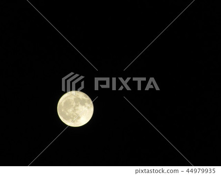 Month lower left 44979935