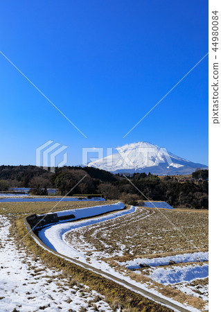 Mt. Fuji and the snow melting countryside Mt. Fuji and the snow melting countryside 44980084