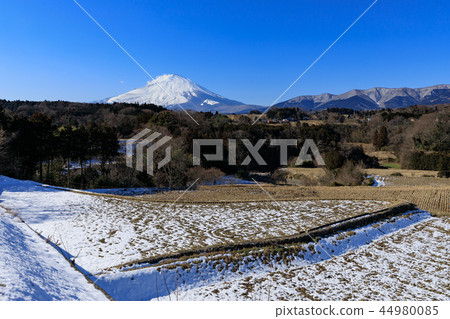 Mt. Fuji and the snow melting countryside Mt. Fuji and the snow melting countryside 44980085