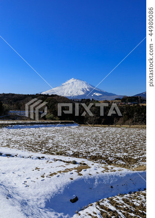 Mt. Fuji and the snow melting countryside Mt. Fuji and the snow melting countryside 44980086