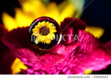 Yellow flower fantasy 44980087