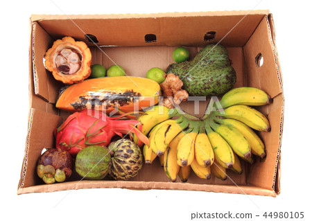papaya annona bannana dragonfruit 44980105
