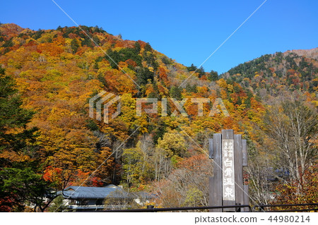 秋骨溫泉松本市安住 44980214