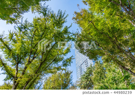 新綠色都市風景 新綠色都市風景 44980239