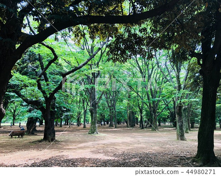 綠色公園 綠色公園 44980271