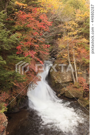 秋葉和龍頭瀑布日本秋天 44980287