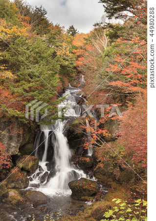 Autumn leaves and dragon head waterfall-Japanese autumn 44980288