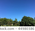Blue sky 44980386