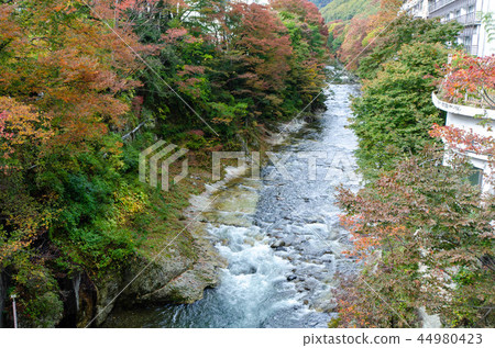 水上溫泉 水上溫泉 44980423