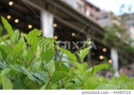 台灣新北市碧潭觀光景點 台灣新北市碧潭觀光景點 44980728
