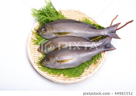 Isaki Foodstuff Isaki Foodstuff 44981552