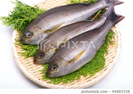 Isaki Foodstuff Isaki Foodstuff 44981556