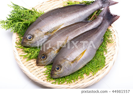Isaki Foodstuff Isaki Foodstuff 44981557