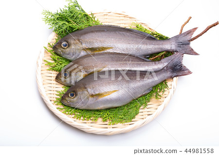 Isaki Foodstuff 44981558