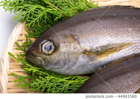 Isaki Foodstuff 44981560