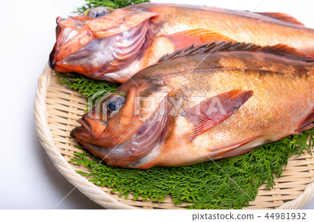 石斑魚成分 石斑魚成分 44981932