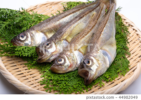 Hatahata ingredients Hatahata ingredients 44982049