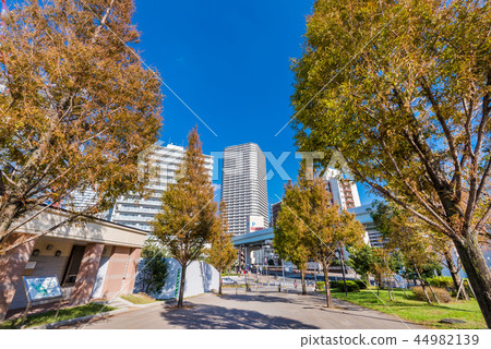 豐洲公園的風景 44982139