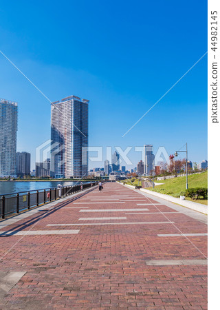 Landscape of Toyosu Harumibashi Park and waterfront Landscape of Toyosu Harumibashi Park and waterfront 44982145