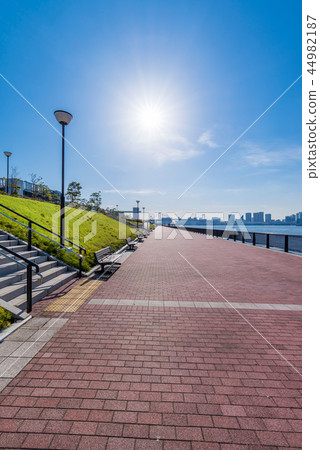 Toyosu Gururi公園風景 44982187
