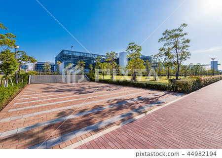 Toyosu-gururi公園和Toyosu市場風景 44982194