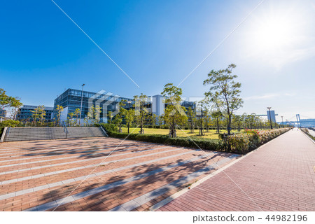 Toyosu-gururi公園和Toyosu市場風景 Toyosu-gururi公園和Toyosu市場風景 44982196