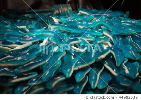 blue candy dolphins blue candy dolphins 44982539