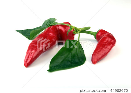 Red hot chili pepper isolated on white background. 44982670