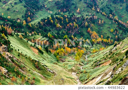 志賀高原享有Shibutan的絕佳景色 44983622