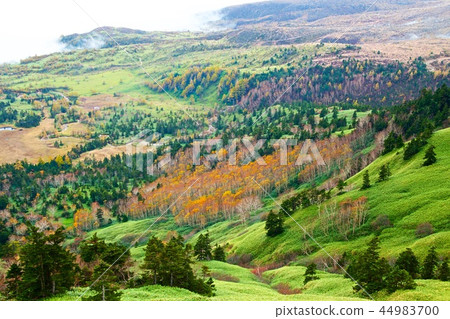 志賀高原享有Shibutan的絕佳景色 44983700