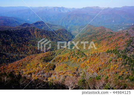 Autumn leaves and Mt Tanigawa of Mt. 44984125