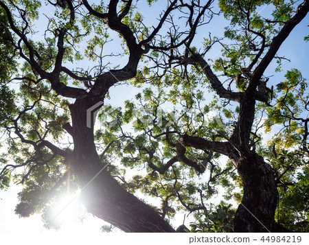 Fresh green and eco image Fresh green and eco image 44984219