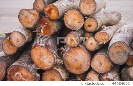 Pile of wood Pile of wood 44984691