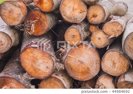 Pile of wood Pile of wood 44984692